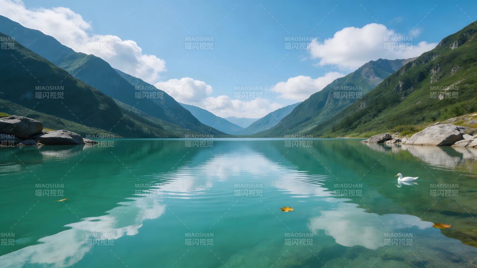 青山碧水映白云 天鹅游弋静如画图片