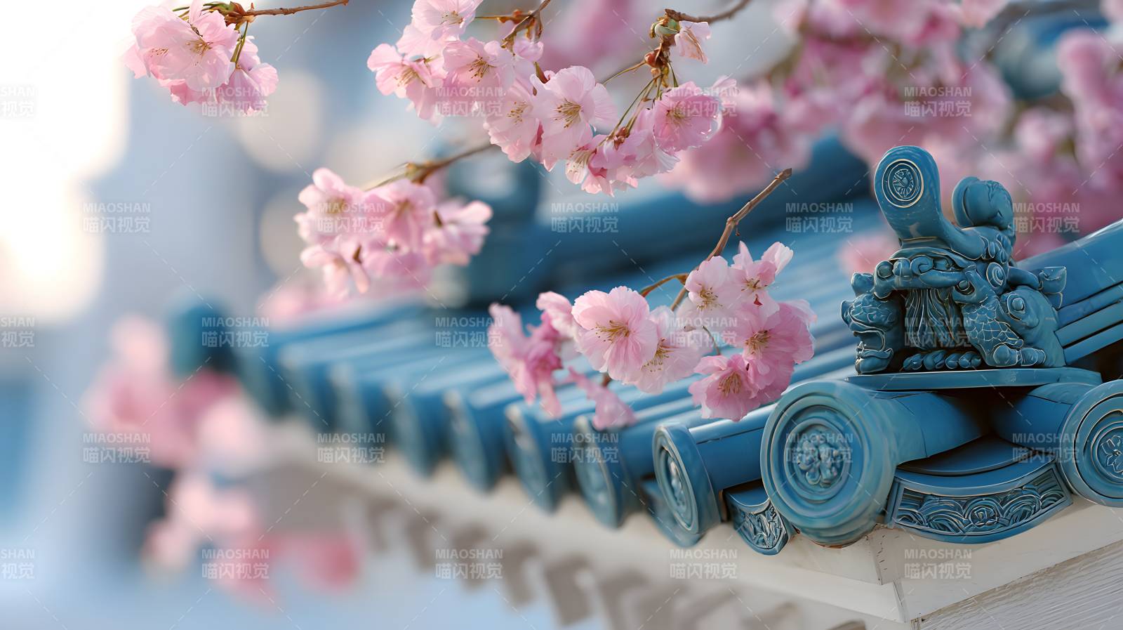 樱落青瓦 春意盎然图片