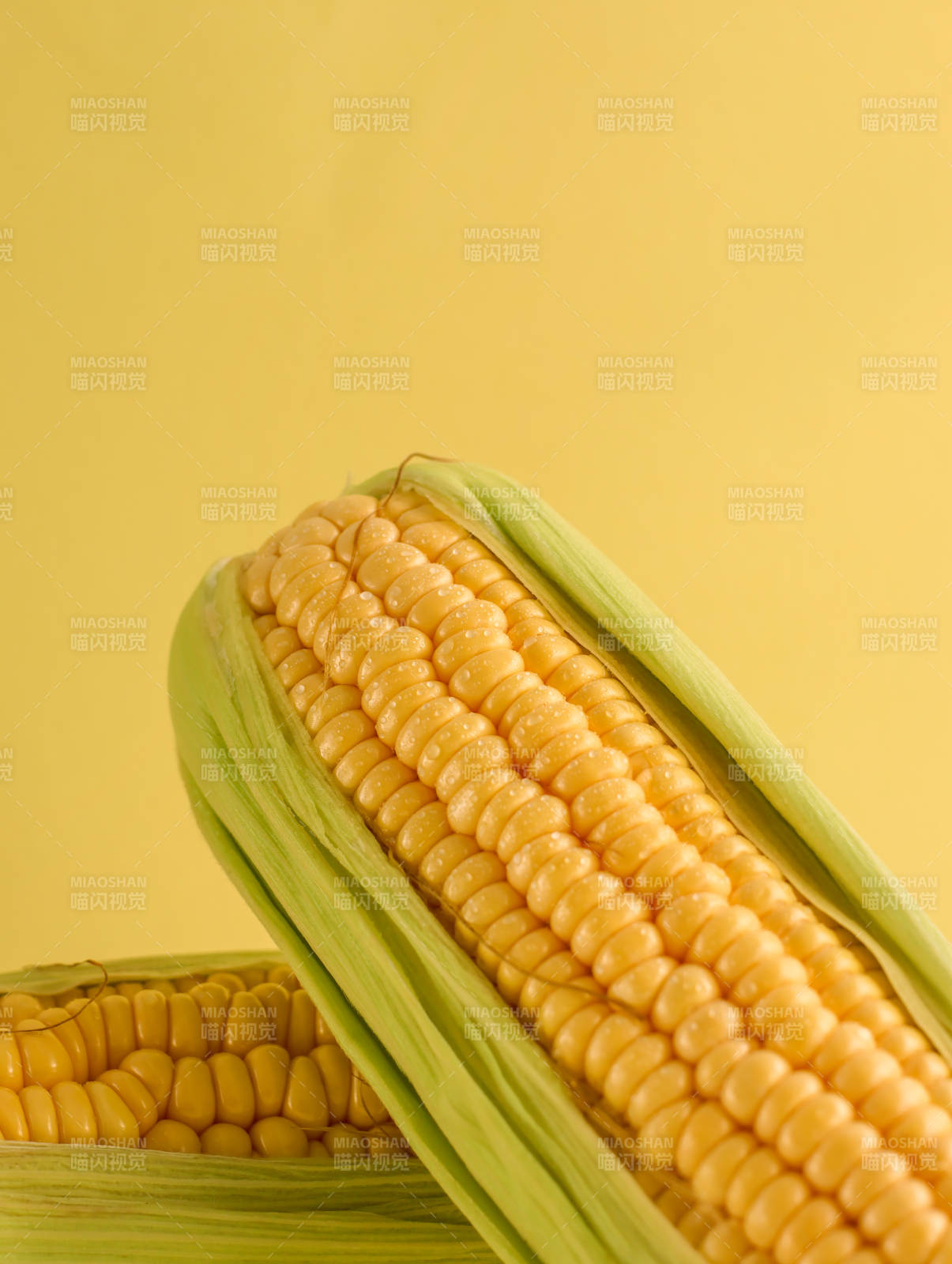 金黄玉米 饱满诱人图片