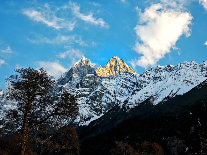 雪山映蓝天 金顶耀云间图片