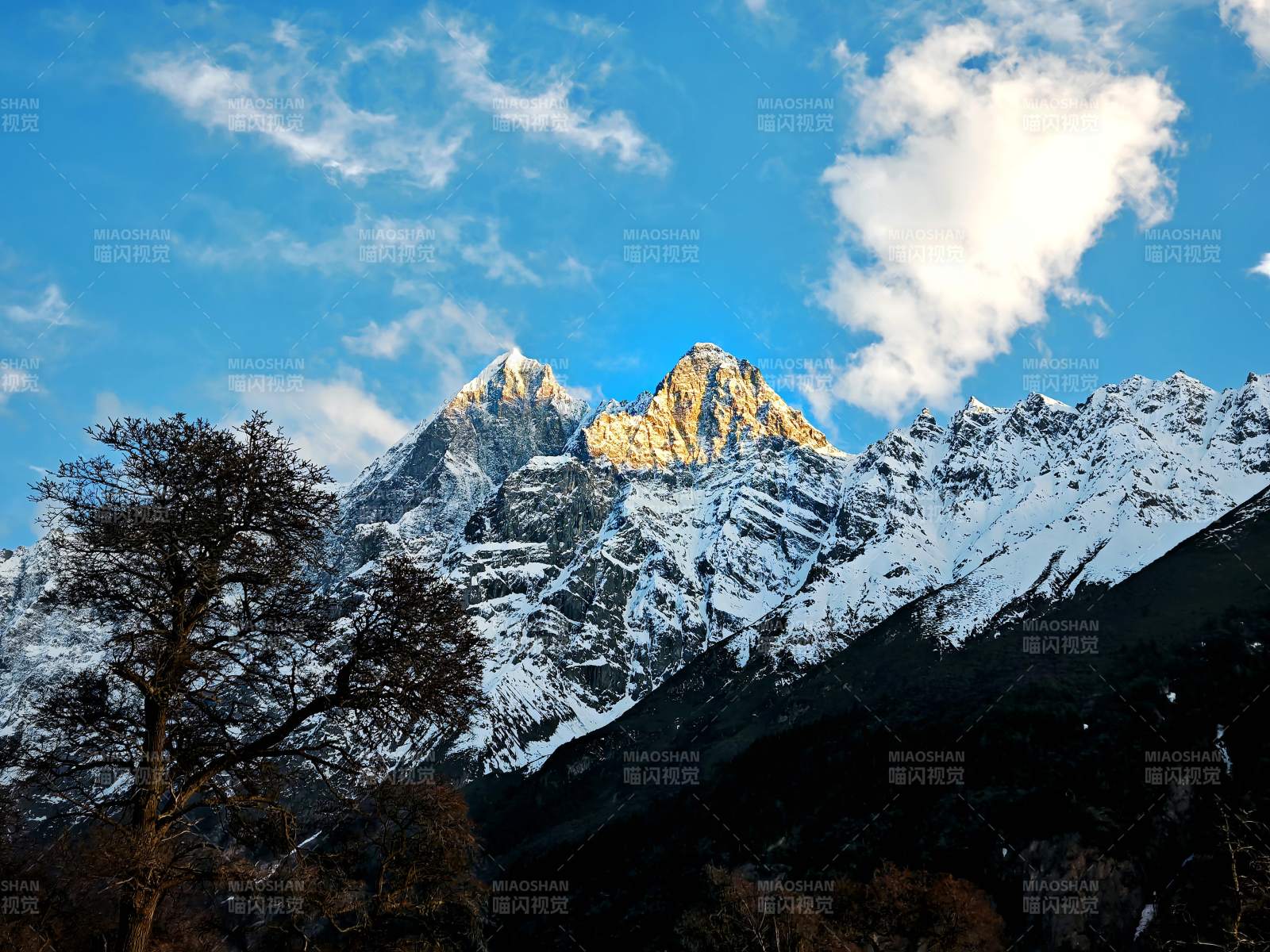 雪山映蓝天 金顶耀云间图片