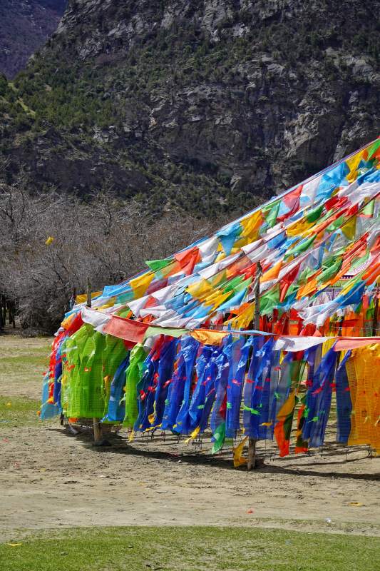 彩幡迎风 山野祈愿图片