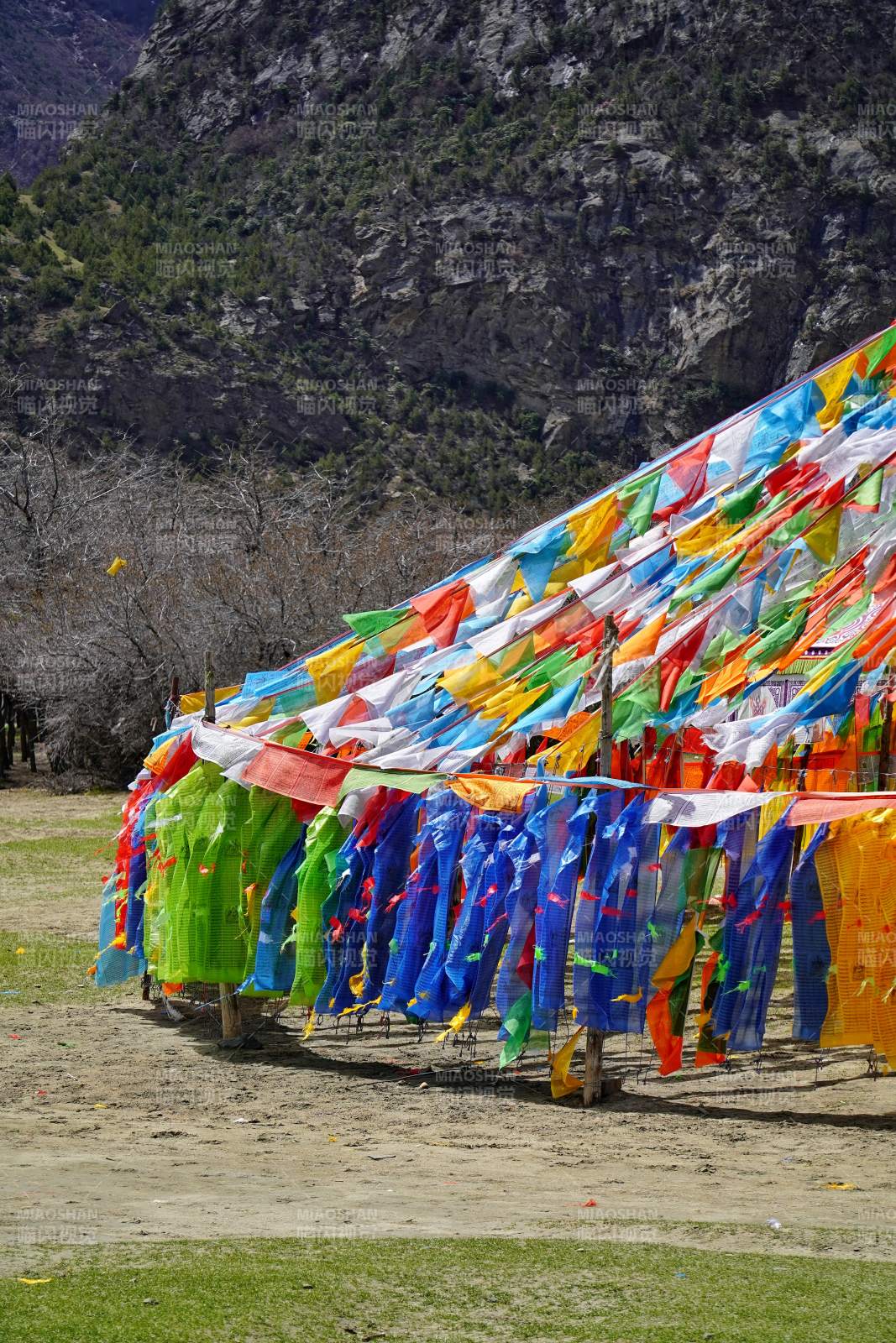 彩幡迎风 山野祈愿图片