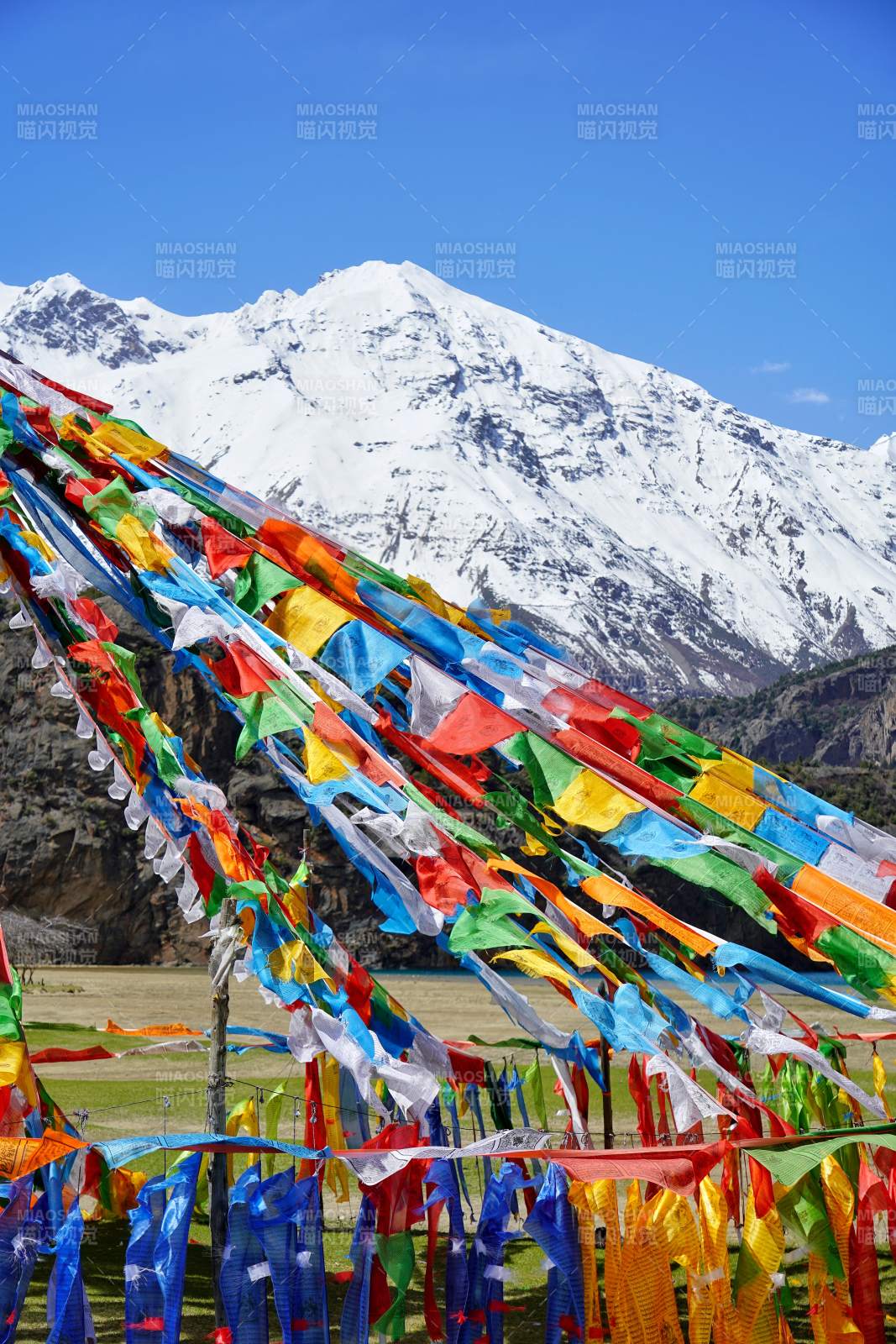 雪山下的五彩经幡图片