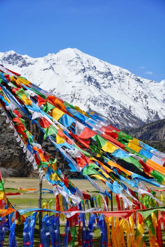雪山下的五彩经幡图片