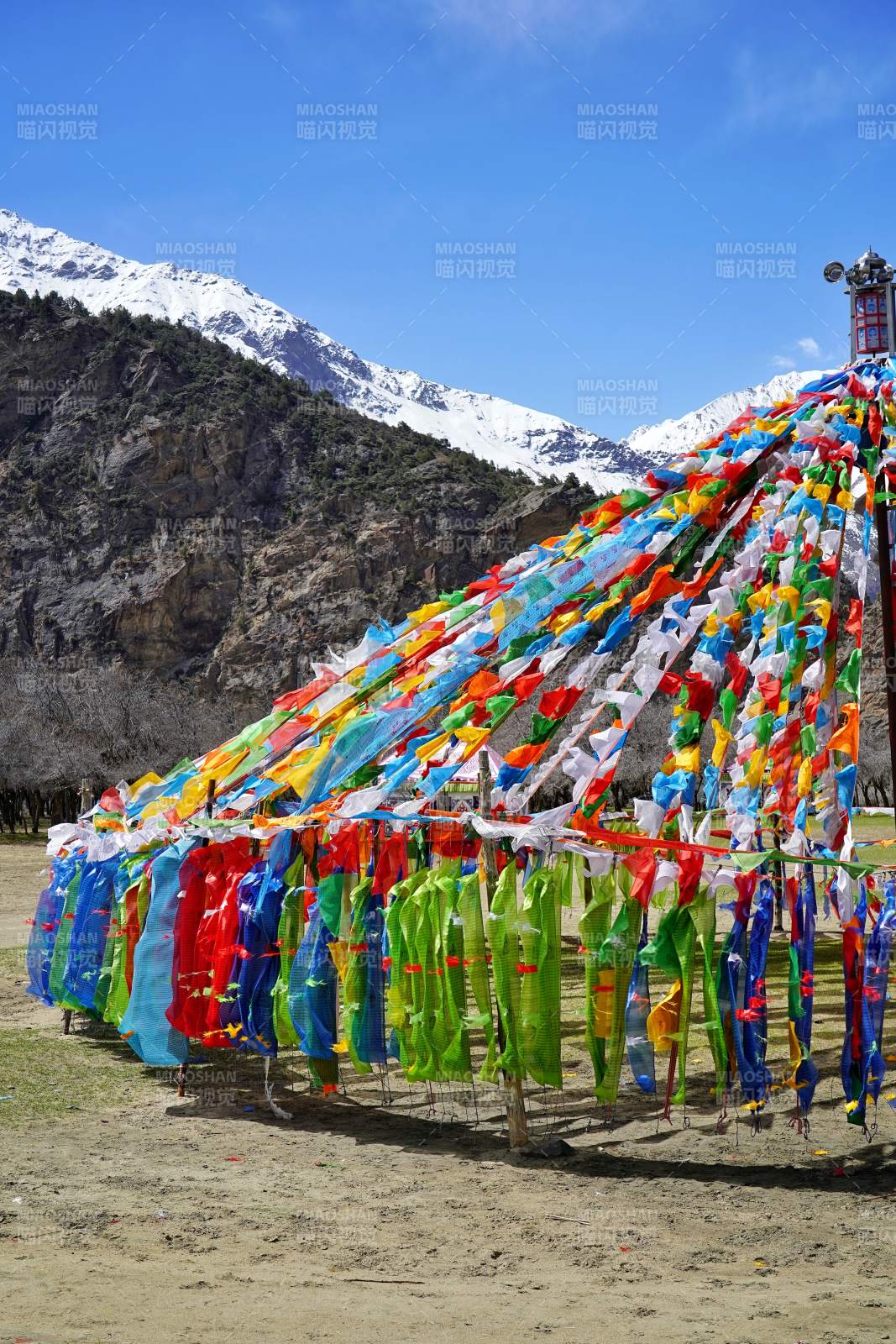 雪山下的彩色经幡阵图片