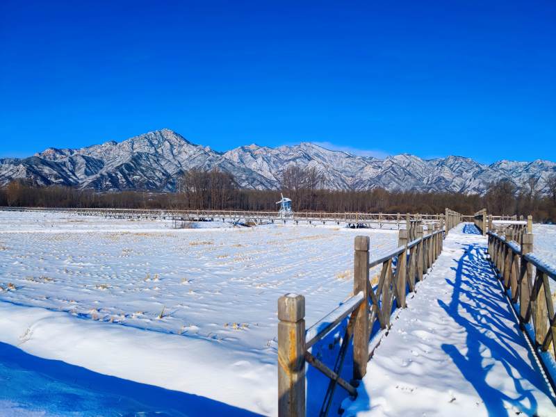 雪原木桥远山蓝天下图片