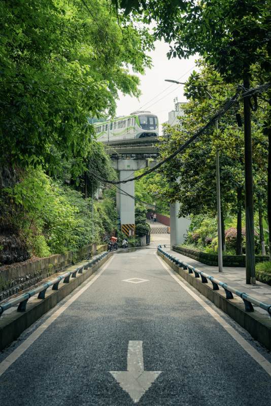 绿荫下的轻轨穿行路图片