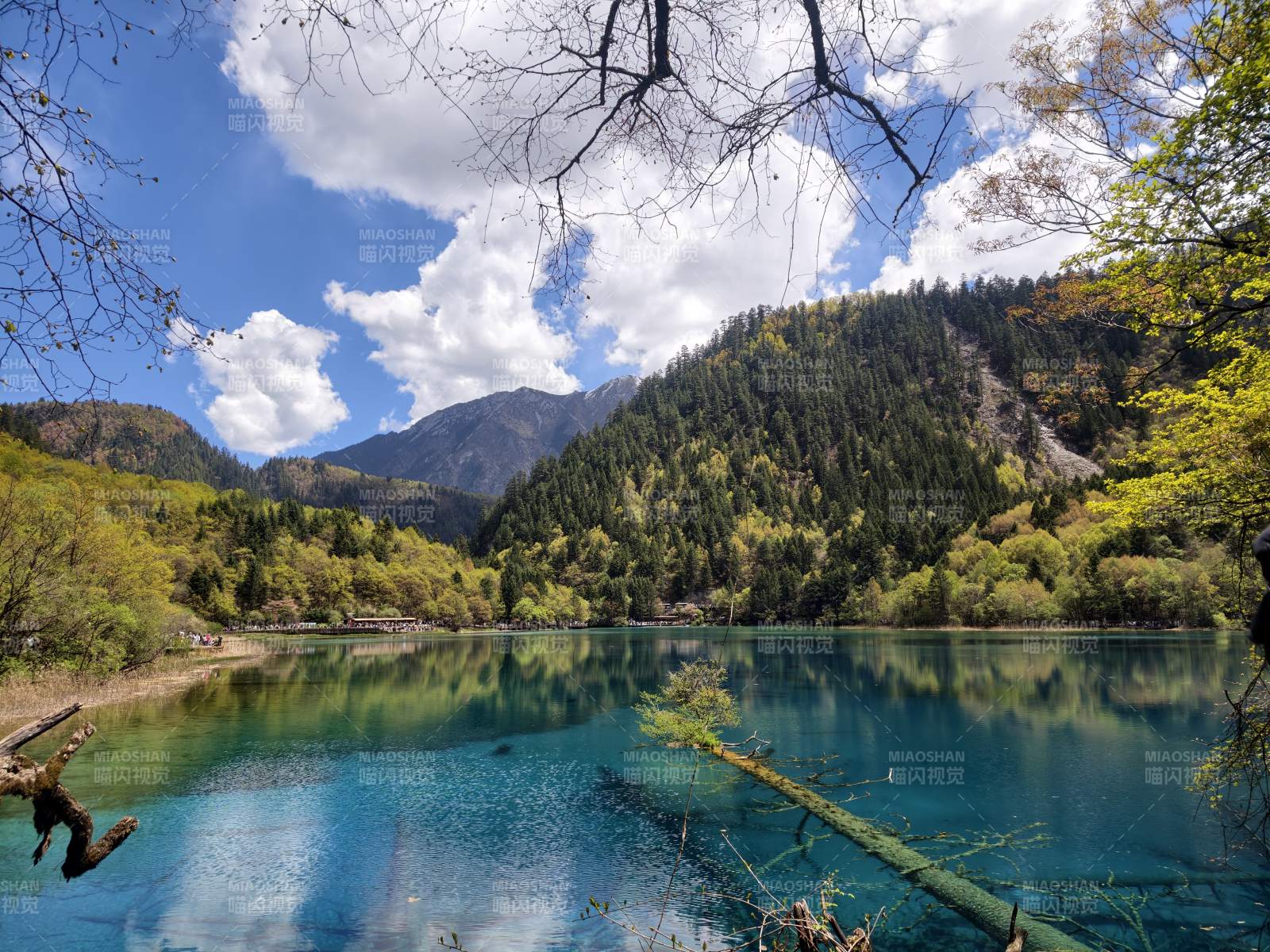 碧湖映山 秋色如画图片