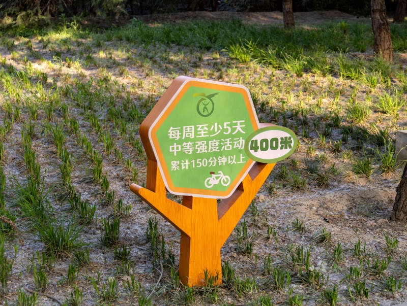 每周天 中等强度活动米图片
