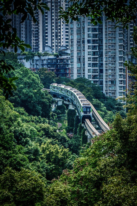 绿海穿城轨 高楼隐林间图片