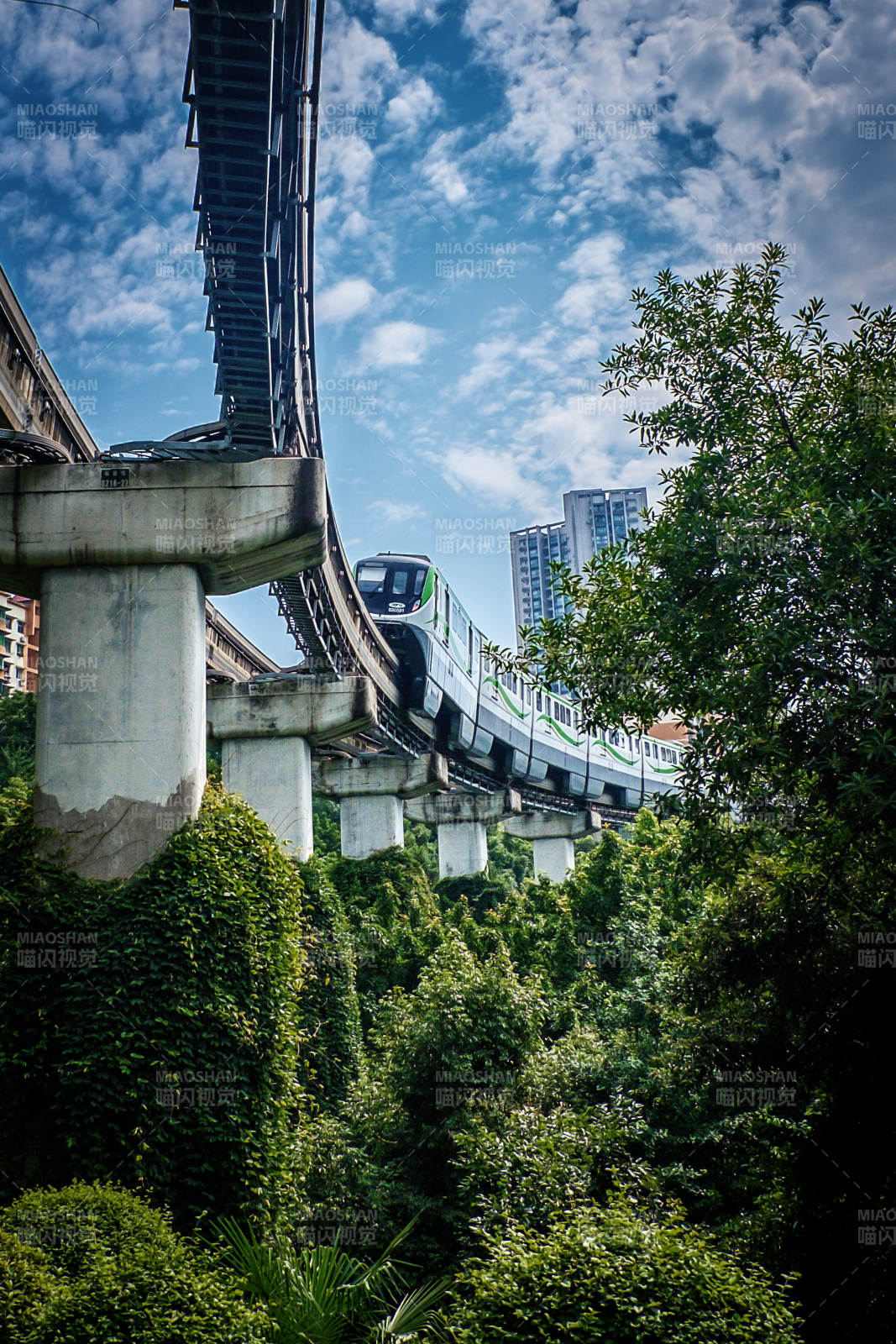 轻轨穿林 城市绿肺中的轨道风景图片