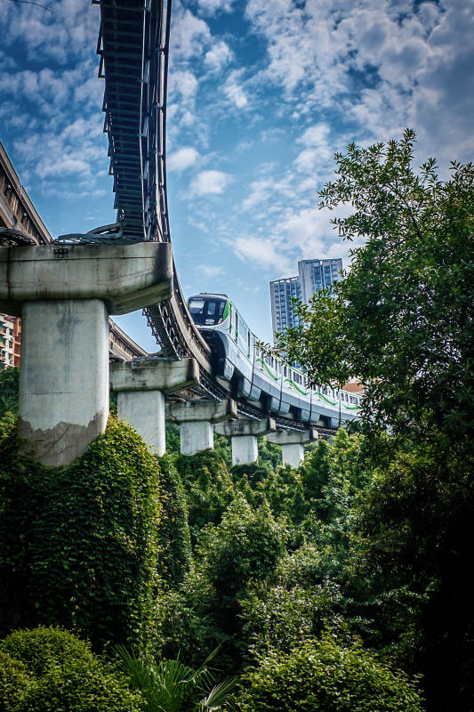 轻轨穿林 城市绿肺中的轨道风景图片