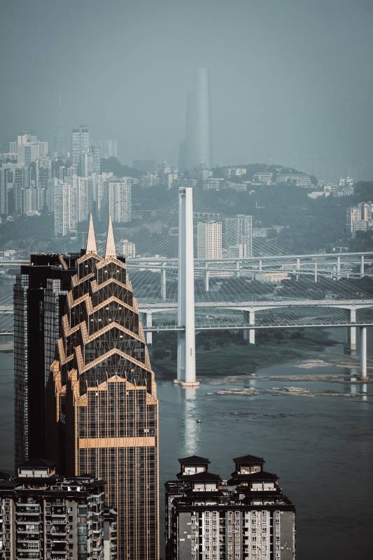雾锁山城 桥影楼群共苍茫图片
