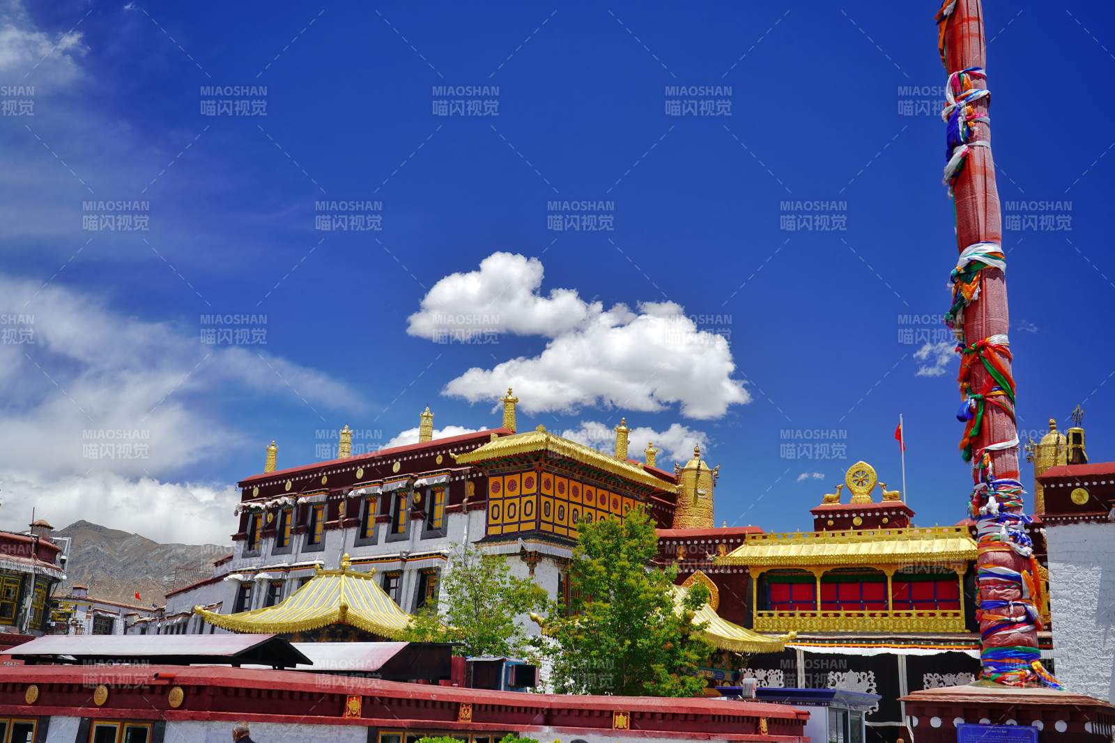 藏式金顶寺宇映蓝天图片