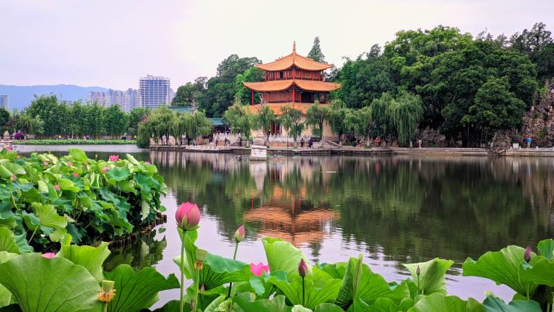 湖心亭映荷 古韵悠然图片