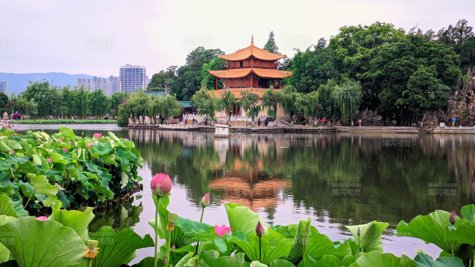 昆明大观楼映荷风光图片