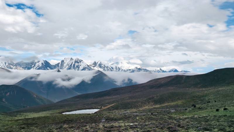 雪山草原云海间图片