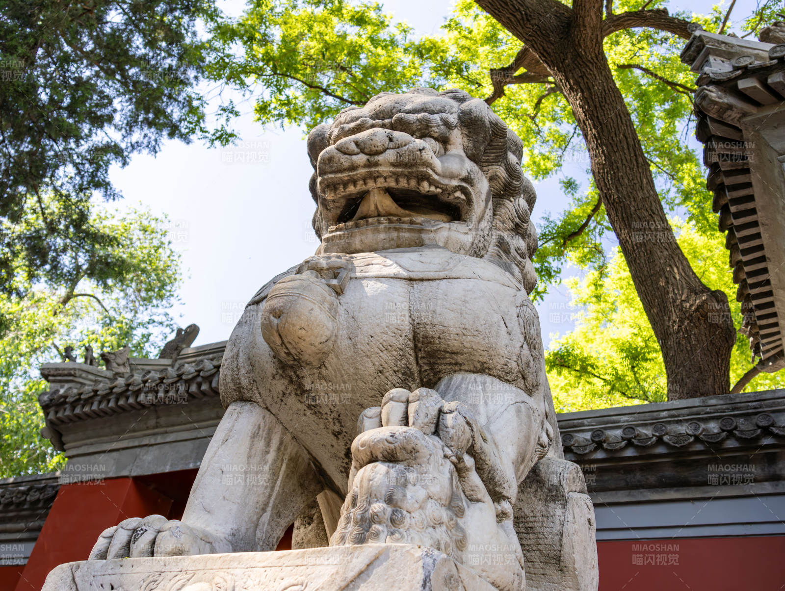 古寺石狮守门 绿树掩映图片