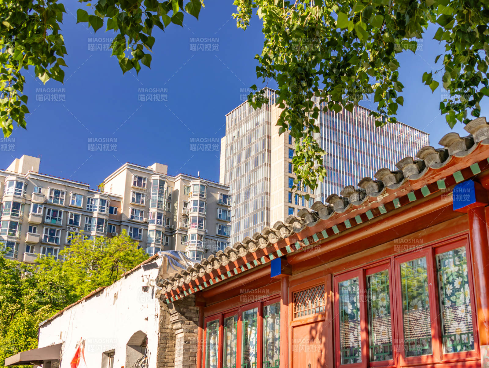 古建与现代高楼相映成趣图片