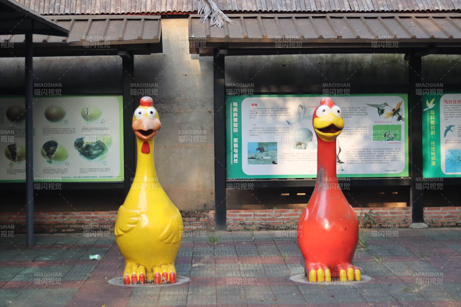 黄红鸡雕塑立展板前图片