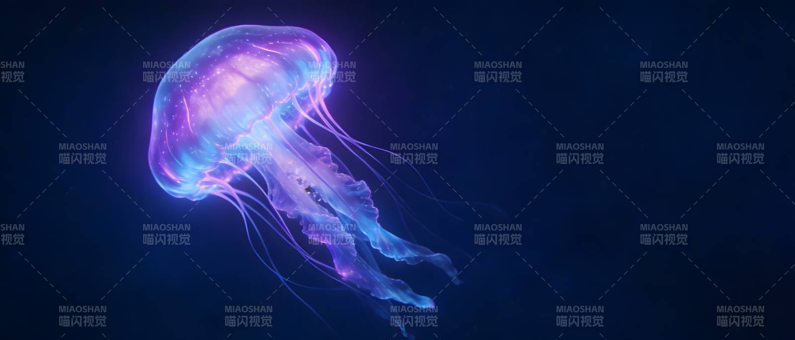 幽蓝水母 梦幻深海舞者图片