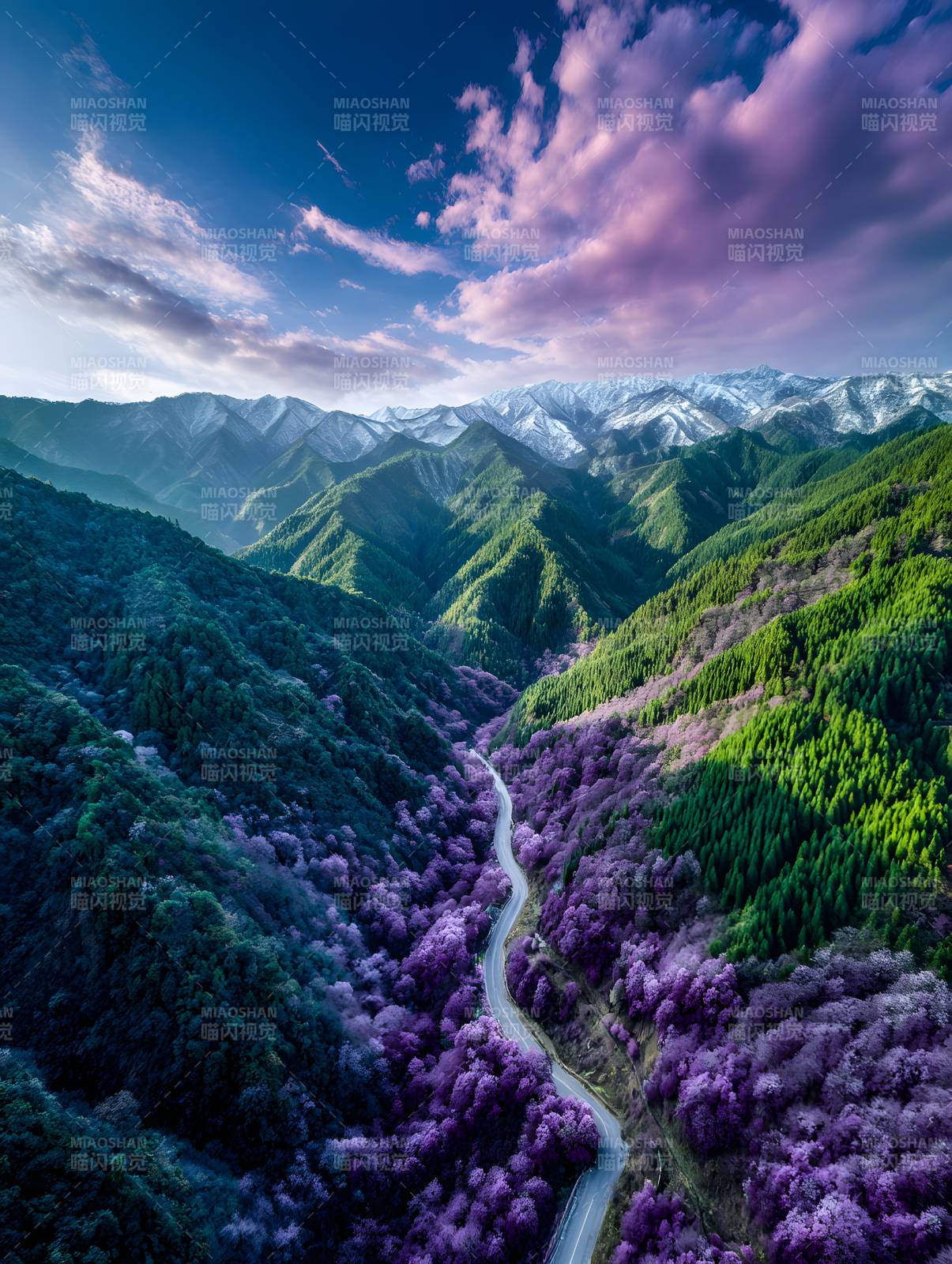 紫花山谷 云绕雪峰路图片