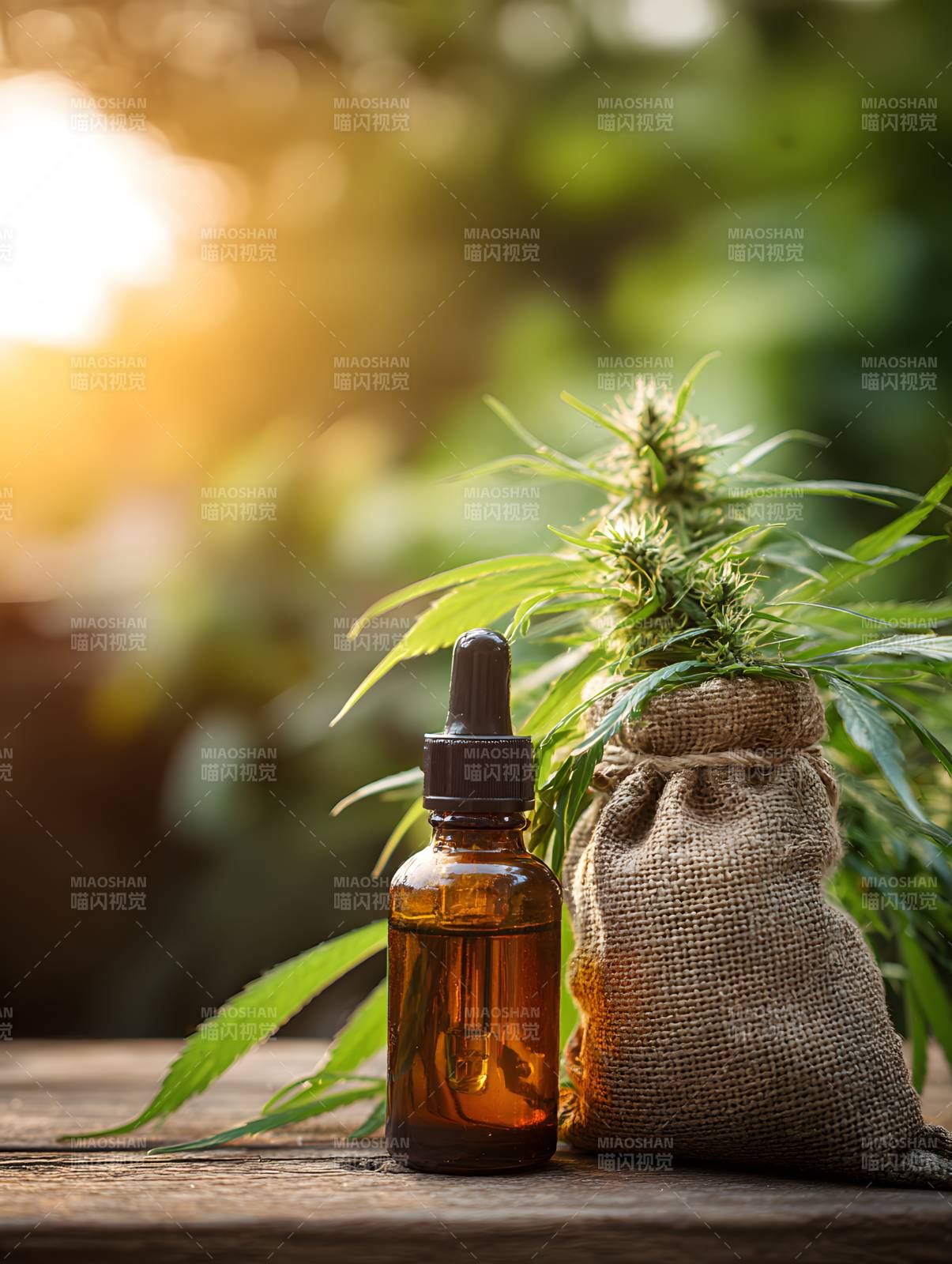 大麻油与植物 自然疗愈力图片