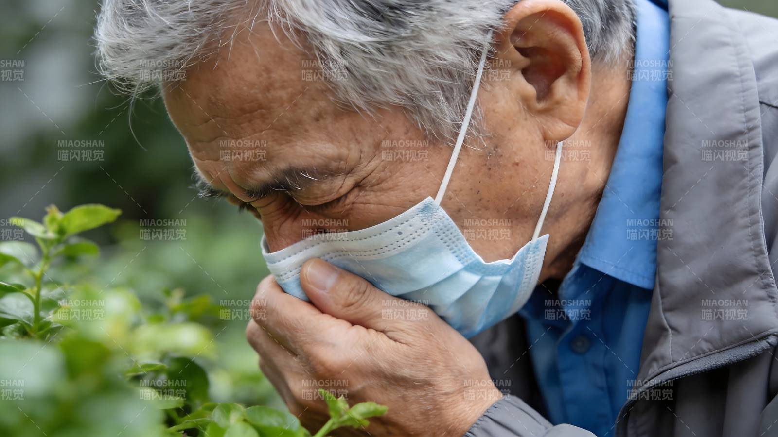 老人戴口罩闻花香图片