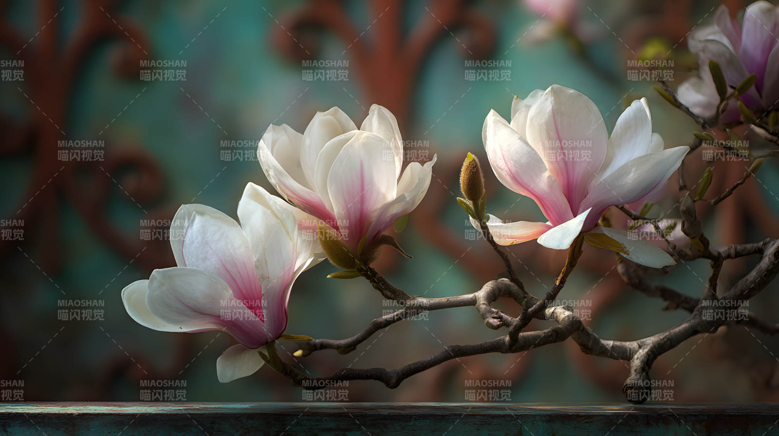 玉兰花枝映古墙图片