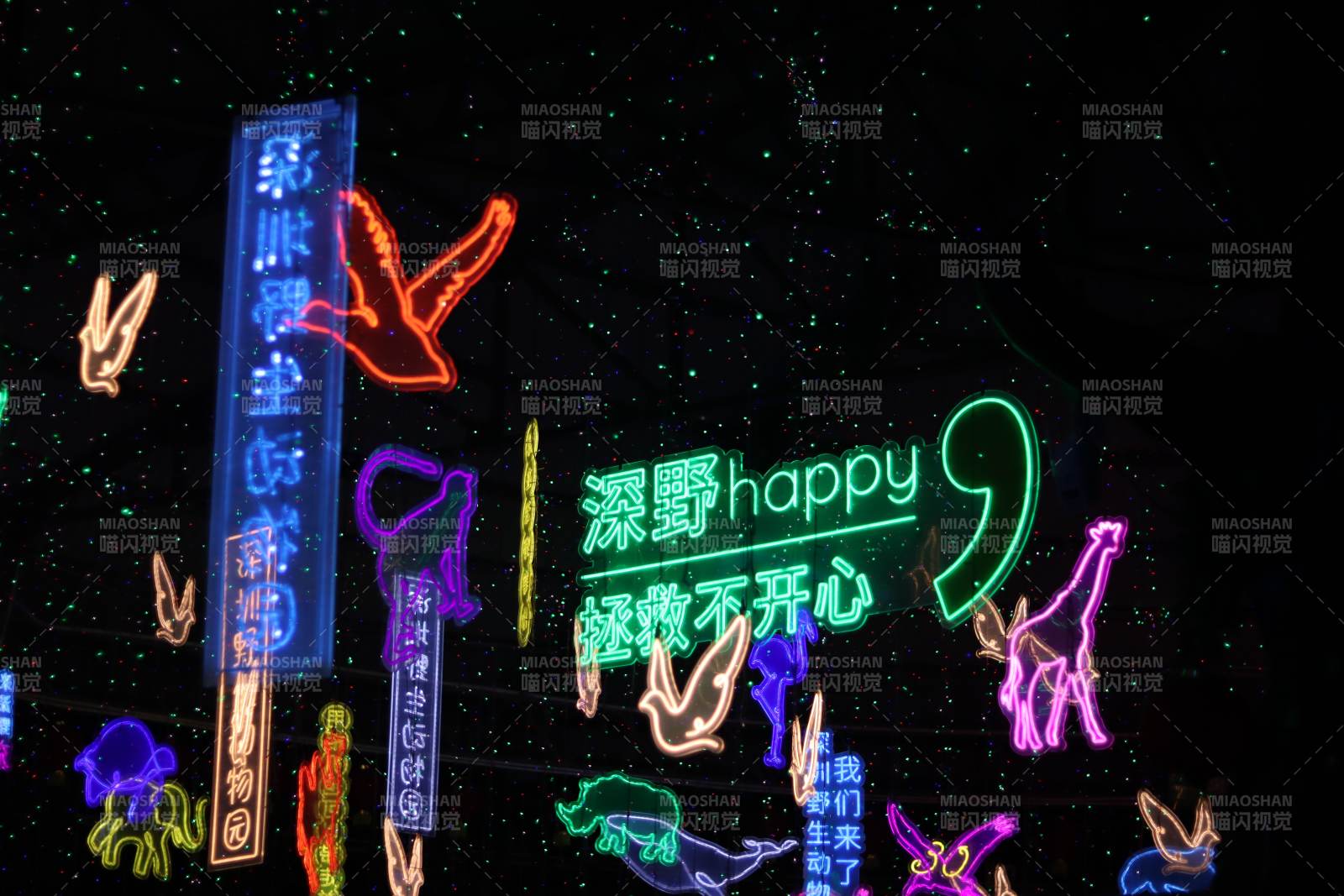 霓虹夜语 深野happy不伤心图片