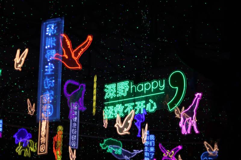 霓虹夜语 深野happy不伤心图片