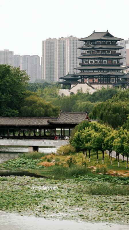 古塔映城 绿荫水韵图片