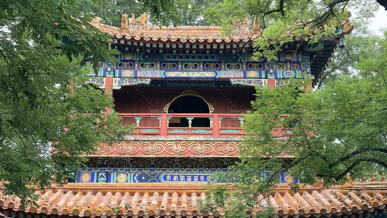 古塔隐于绿树间图片