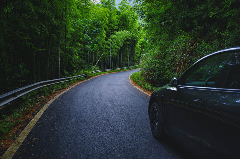 竹林弯道 黑车静停图片