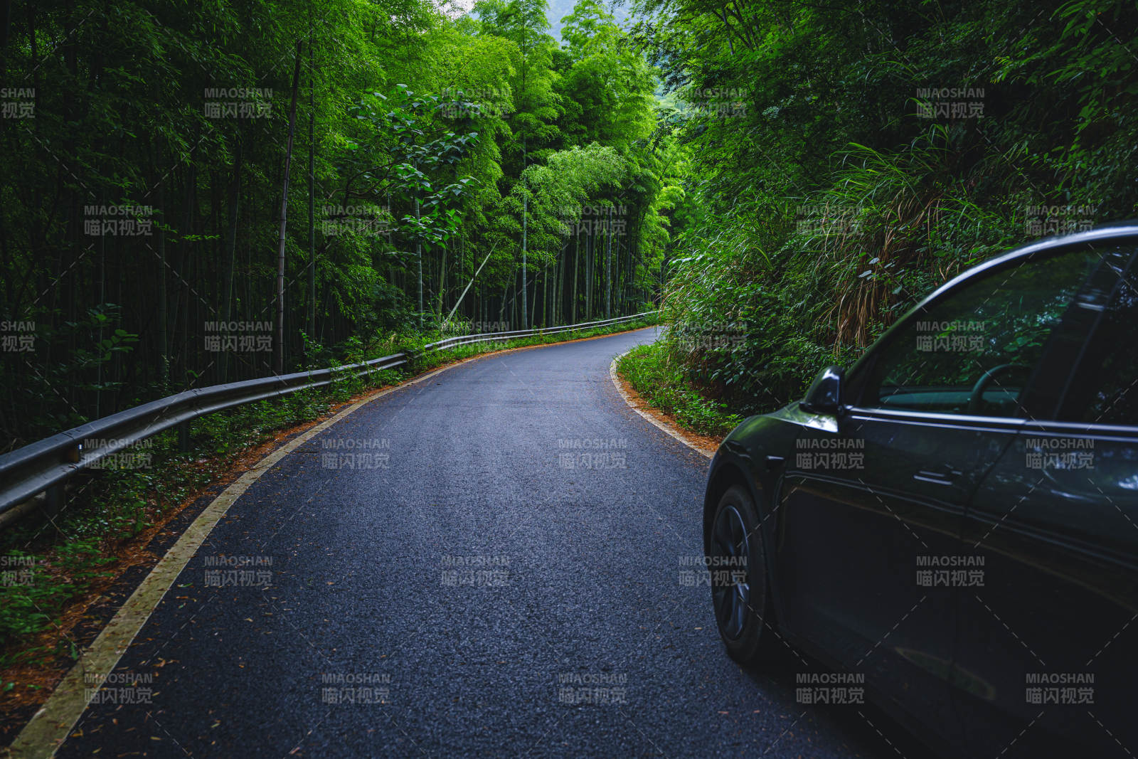 竹林弯道 黑车静停图片