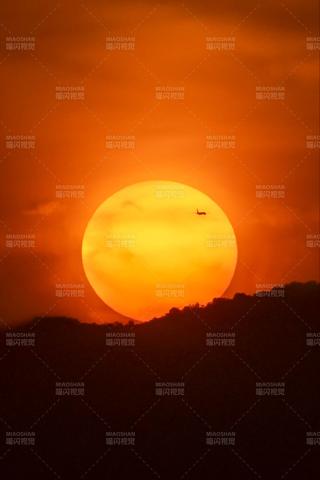 夕阳熔金 孤鸟掠日图片