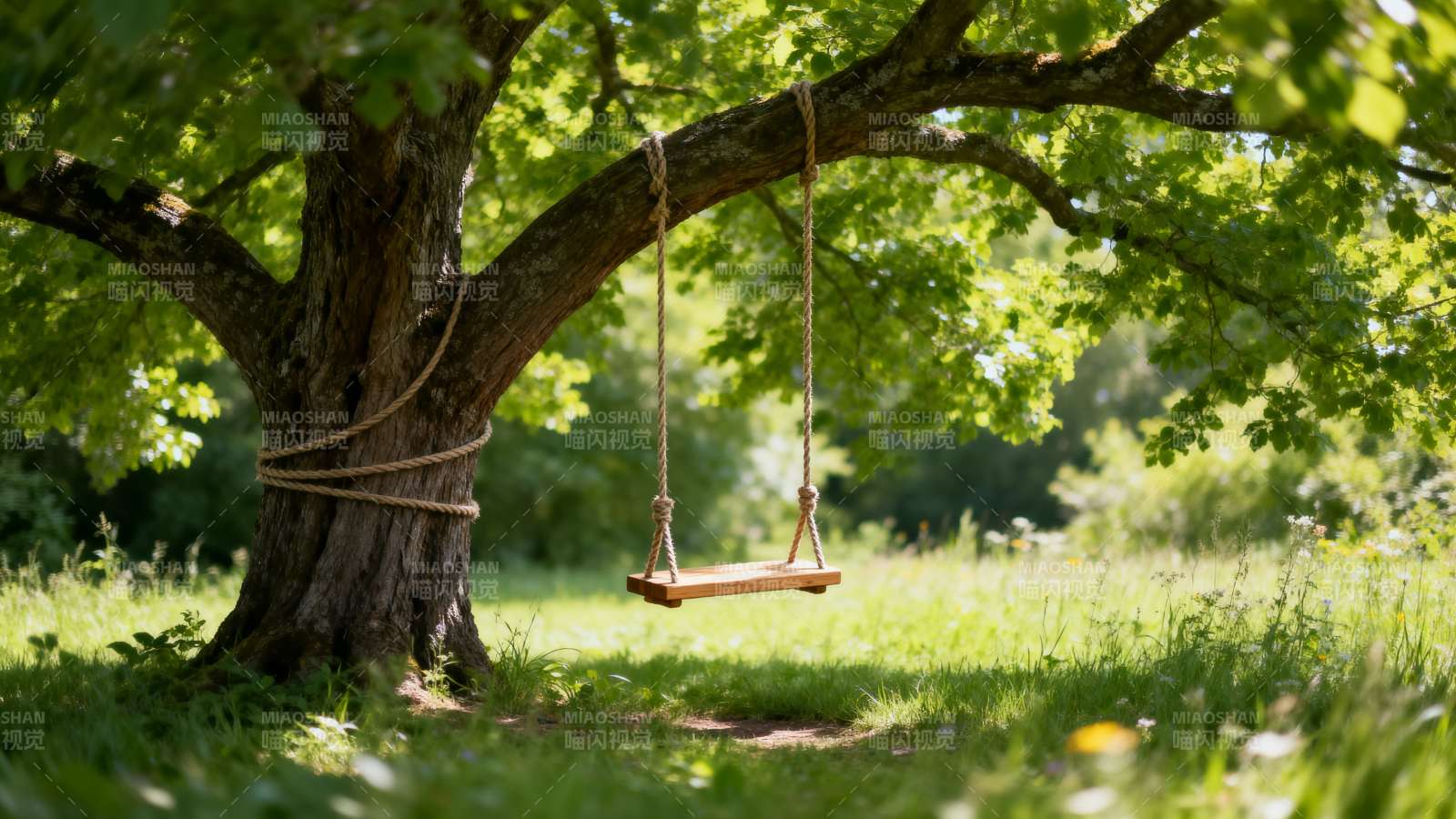 树下秋千 静谧夏日时光图片
