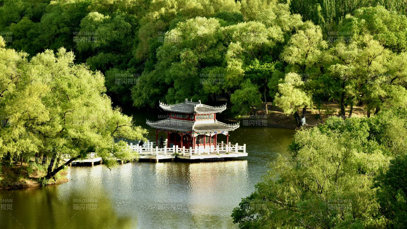 湖心亭隐于绿荫之中图片
