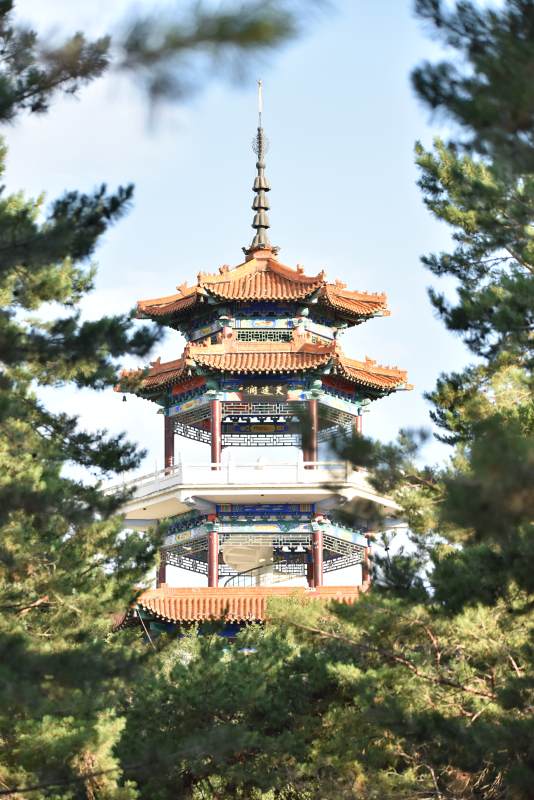 松间古塔映蓝天图片