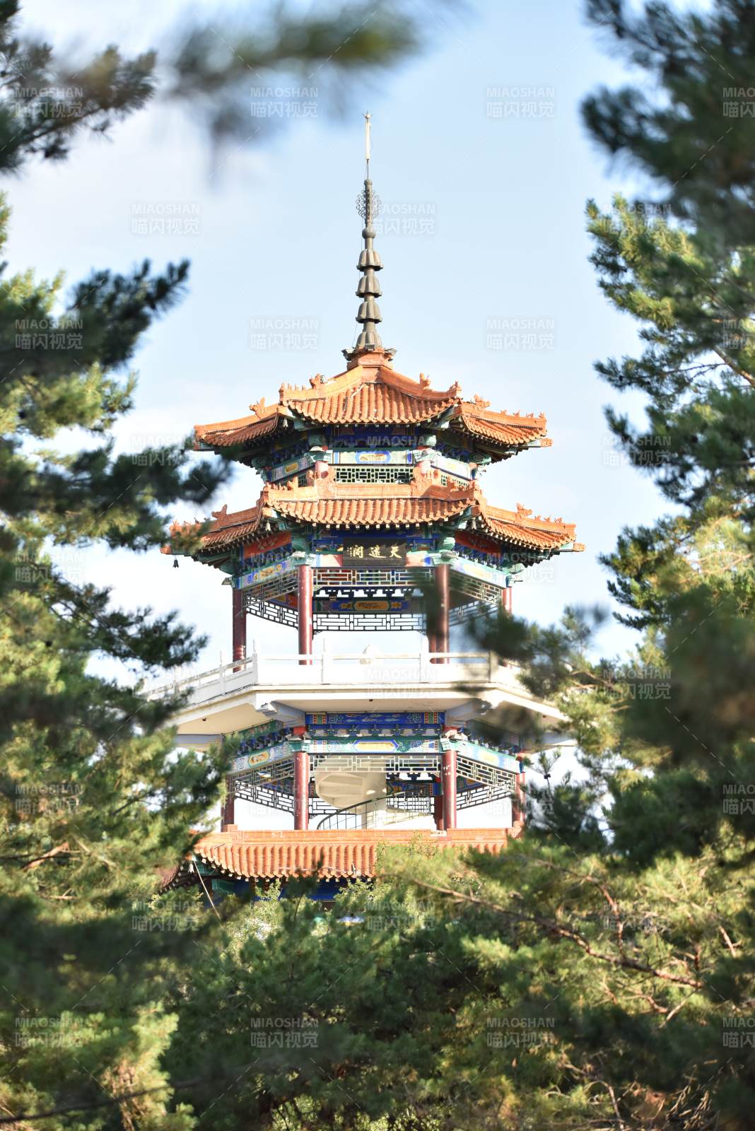 松间古塔映蓝天图片