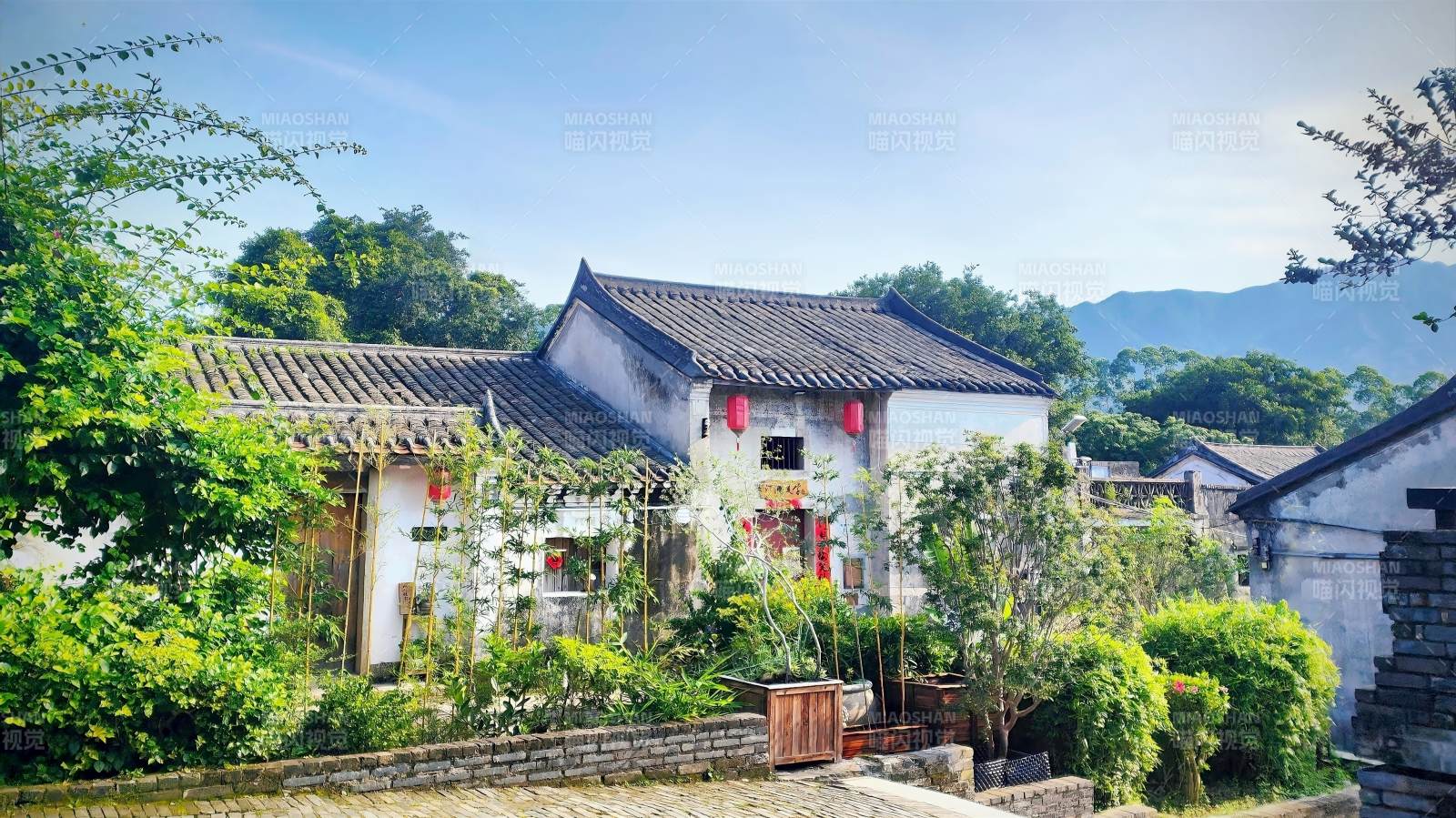 古村白墙黛瓦 绿意盎然图片