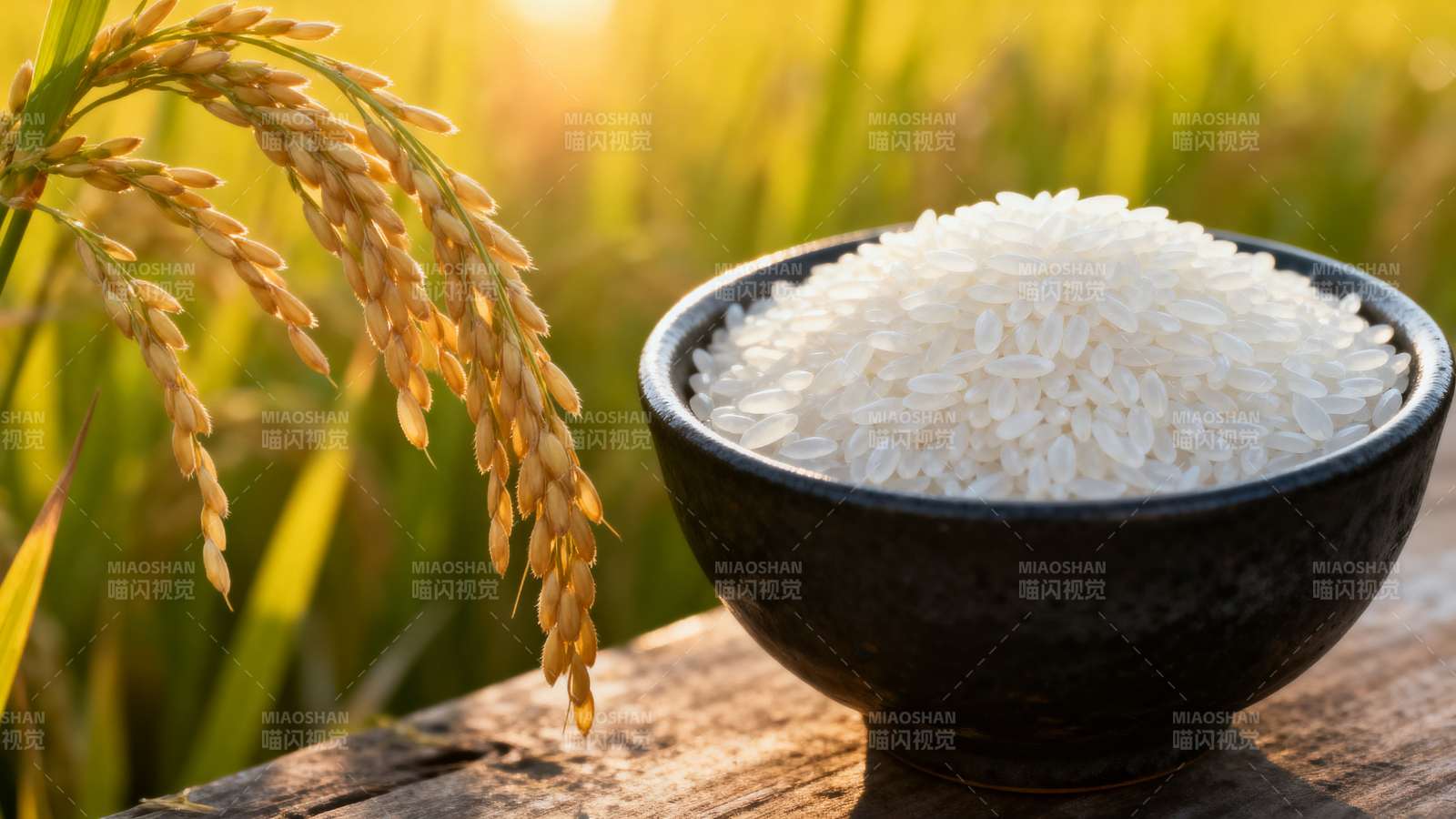 稻香米白 碗中丰收景图片