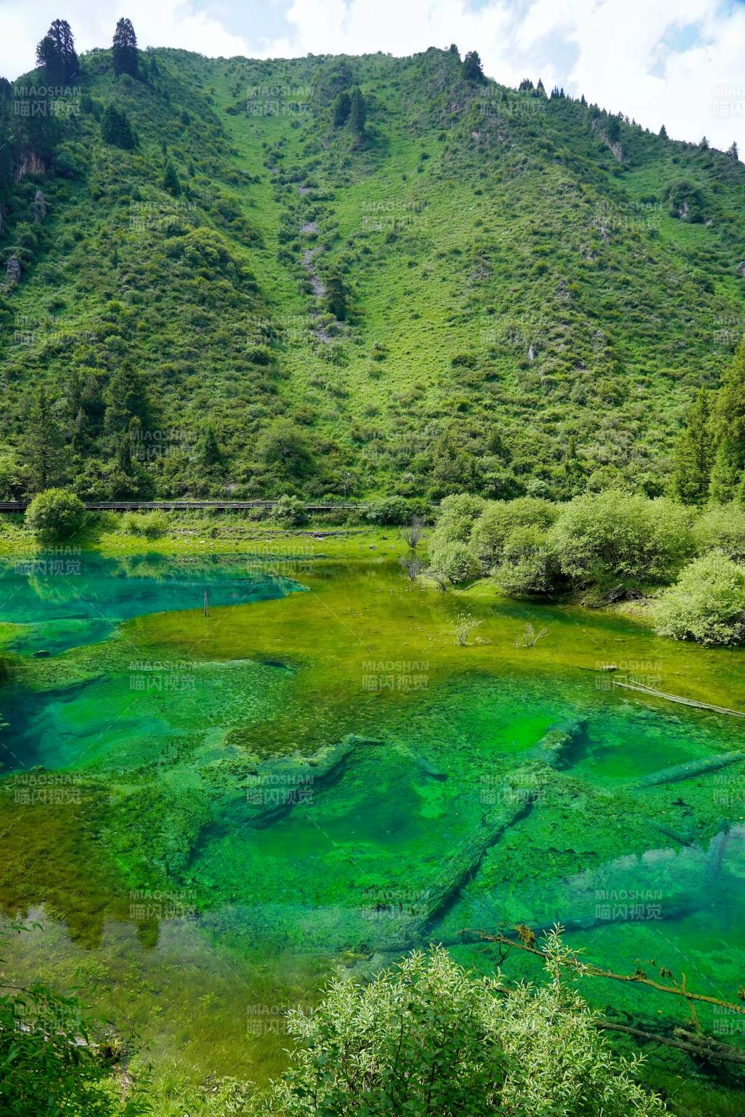 碧潭映青山 翠色醉人心图片