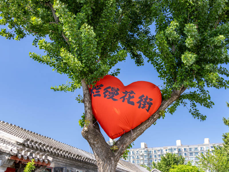 绿树红心 烂漫花街北京烂漫胡同景点图片