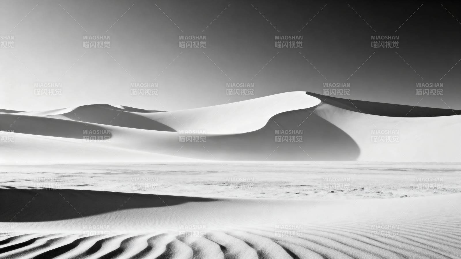 沙海韵律 黑白之境图片