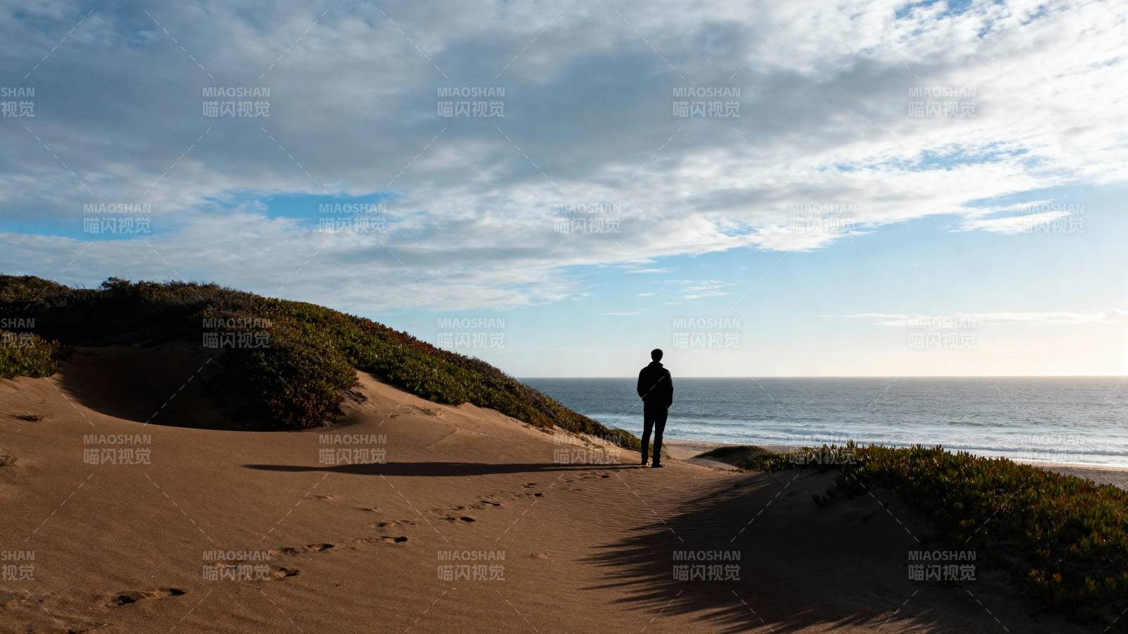 沙丘独行者 海天之间影图片