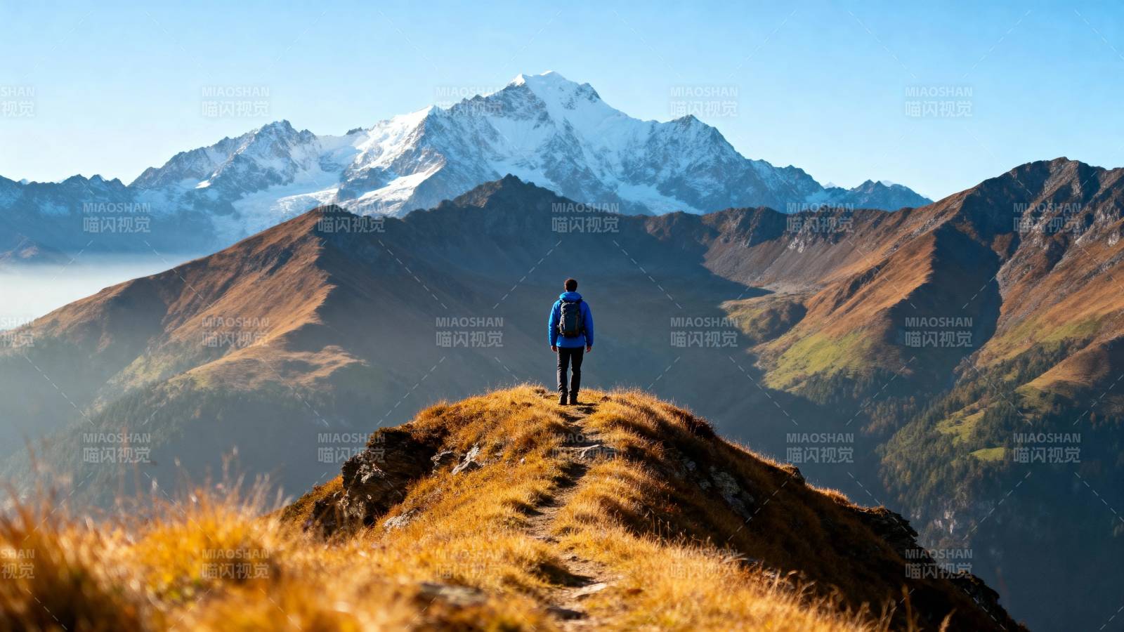 山巅独行者 雪峰映蓝天图片