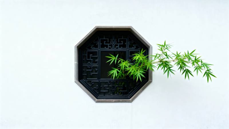竹影映窗 清雅东方韵图片