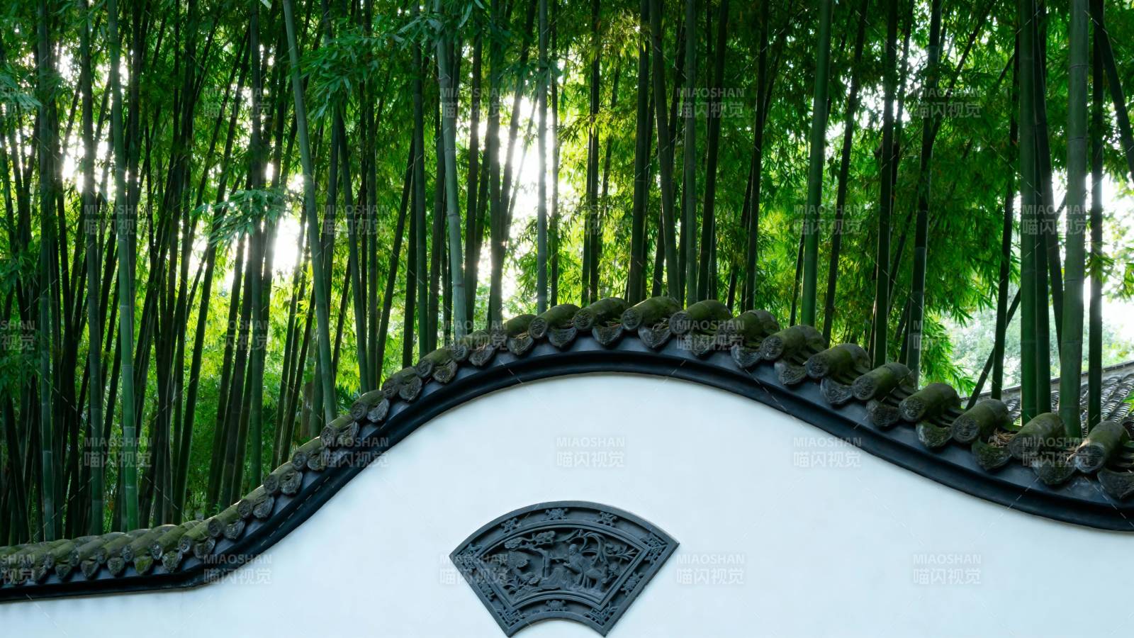 竹影白墙 古韵悠然图片